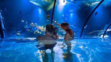 Alpentherme Gastein Meerwasser-Aquarium  | © Alpentherme Gastein/Marktl Photography