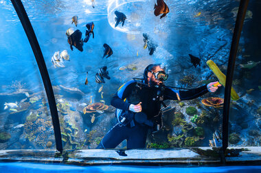 Taucher beim Putzen im Meerwasser-Aquarium | © Alpentherme Gastein/Marktl Photography
