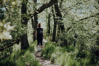 Waldspaziergang | © Freepik.com/EyeEm