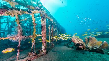 Reefvillage Projekt Philippinen | © Martin Aigner Photography