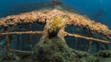 Reefvillage Projekt Philippinen | © Martin Aigner Photography